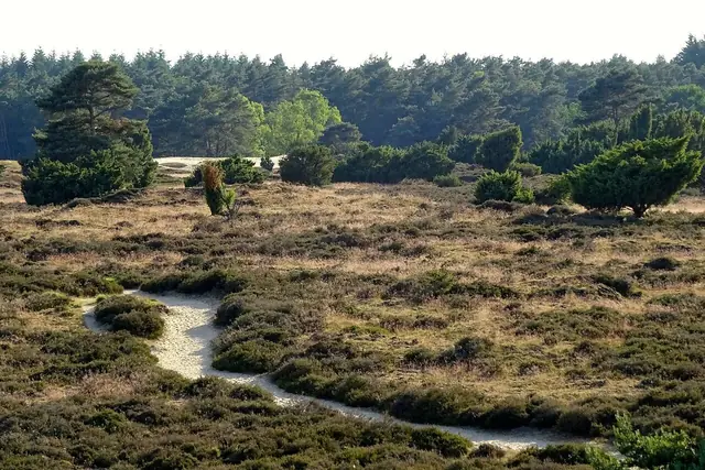 Drouwenerzand