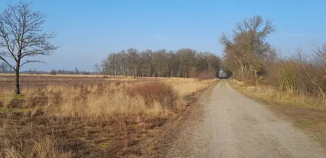 Balloërveld