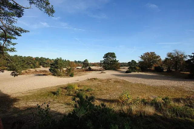 Soesterduinen