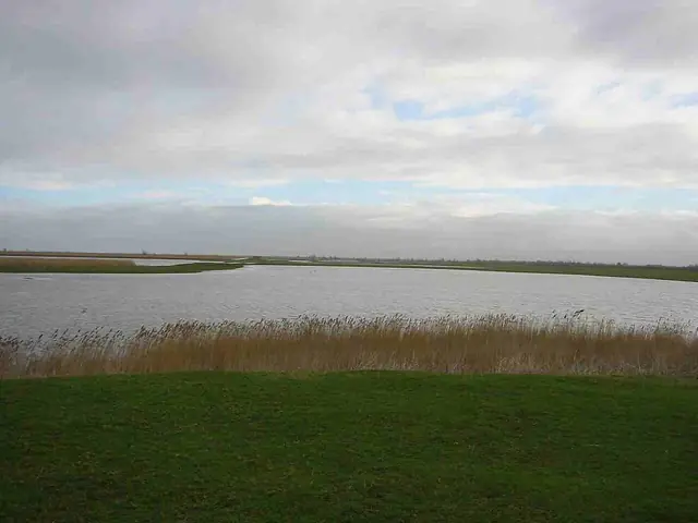 Oostvaardersplassen