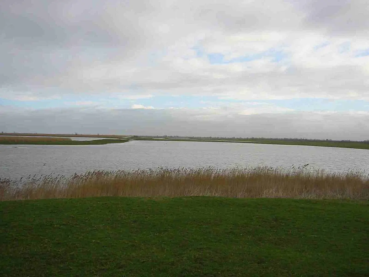 Oostvaardersplassen