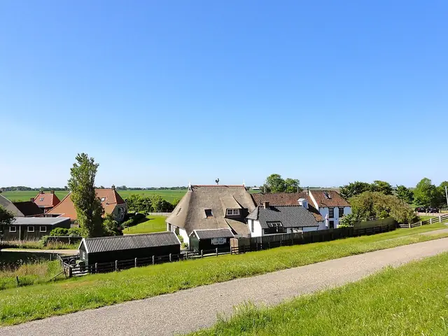 Zwarte Haan