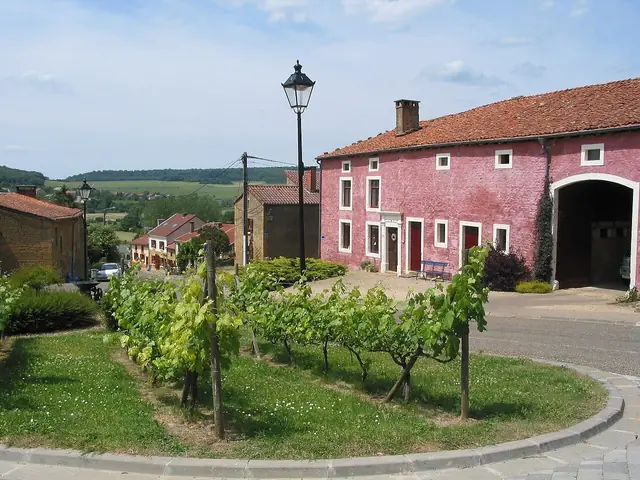 Torgny