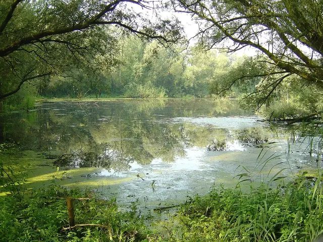 Duursche Waarden