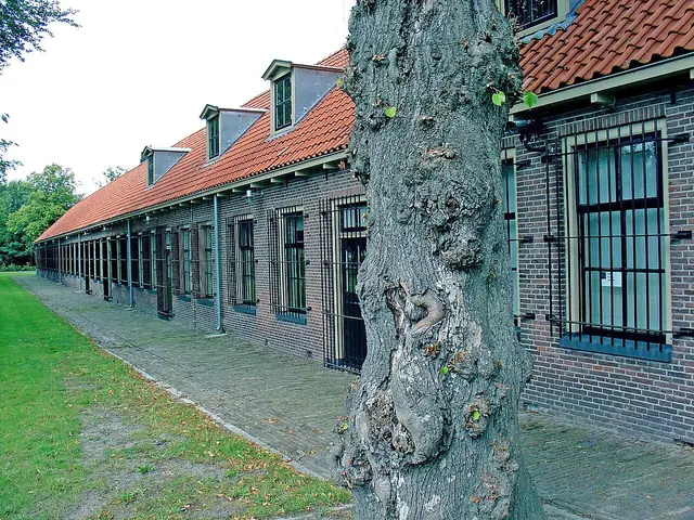 Koloniën van Weldadigheid