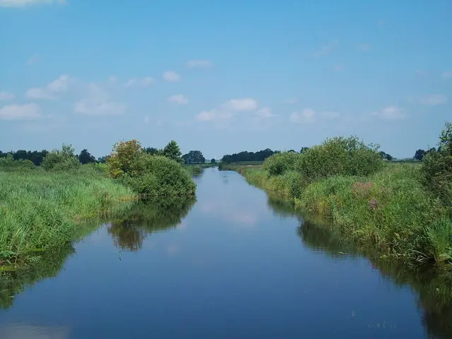 Alde Feanen