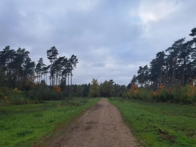 Kattevennen