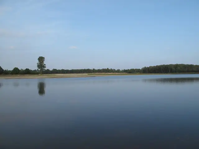 Nationaal Park De Maasduinen