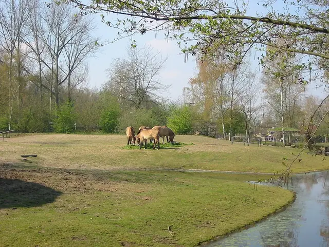 Planckendael