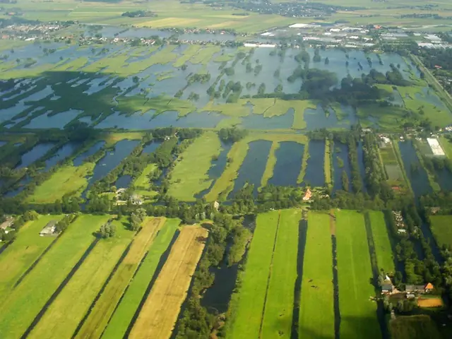 Nieuwkoopse Plassen