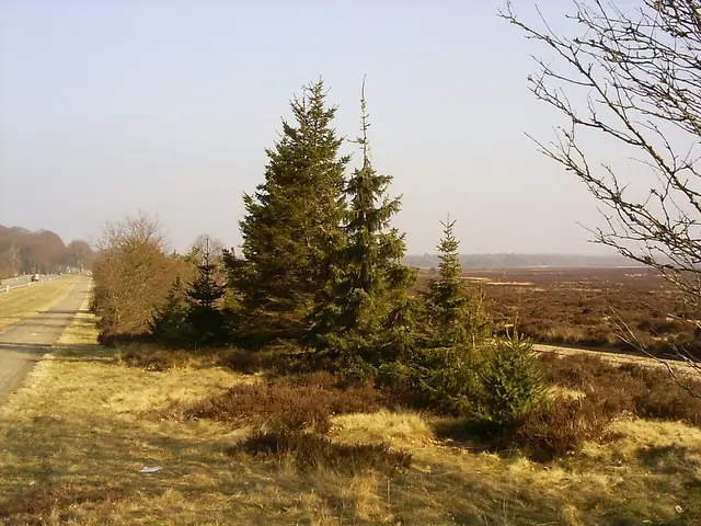 Ginkelse Heide