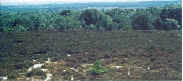 Nationaal Park Sallandse Heuvelrug