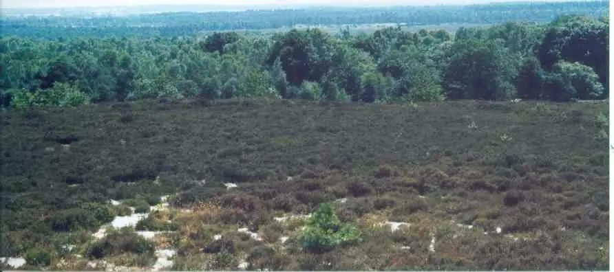 Nationaal Park Sallandse Heuvelrug