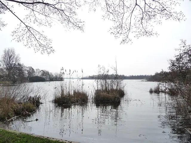 Oud-Loosdrecht