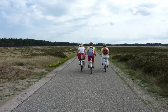 Nationaal Park De Hoge Veluwe