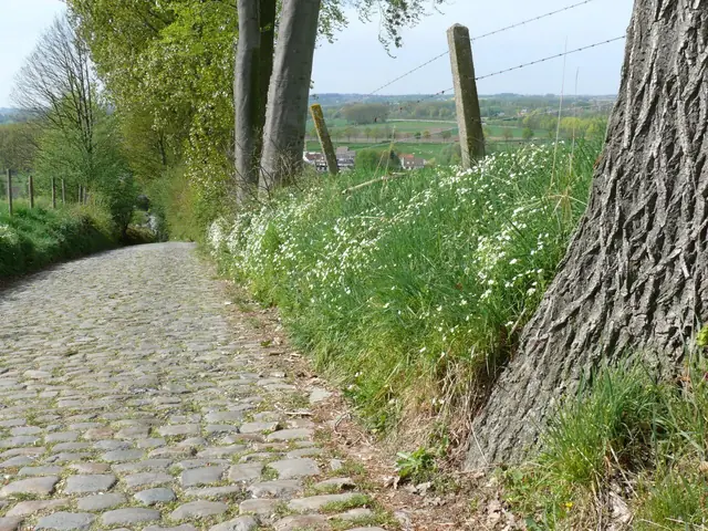 Koppenberg