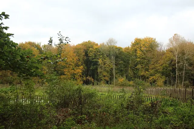 Kluisberg