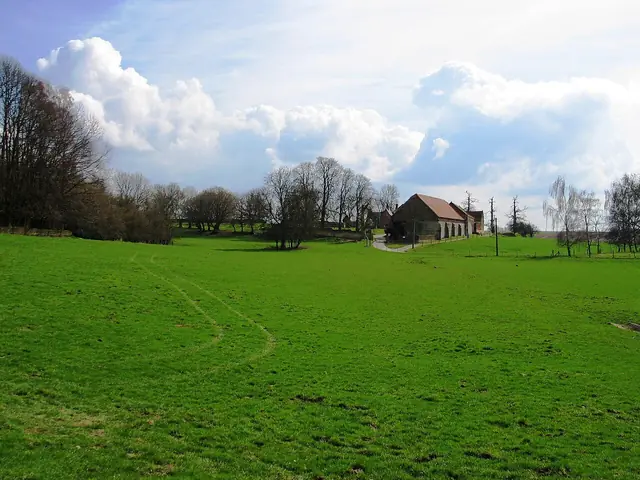 Hougoumont