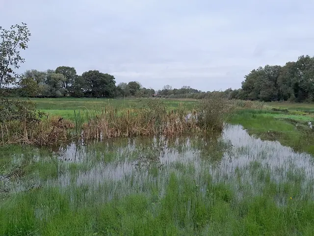 Dal van de Ruiten Aa