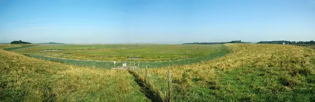 Het Zwin