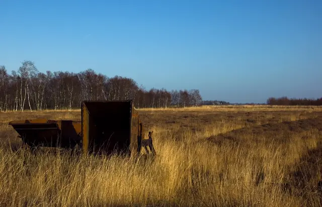 Bargerveen
